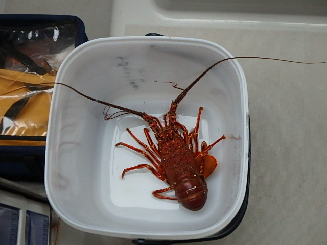 c0183137_2295984.jpg