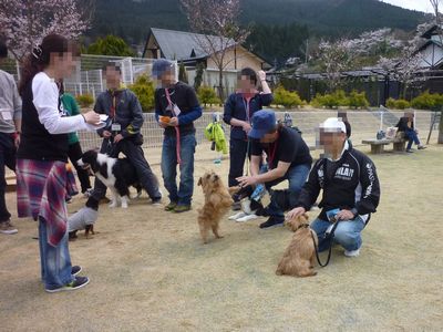 オフ会　どすこい九州場所～♪　追記あり_c0211540_1711346.jpg