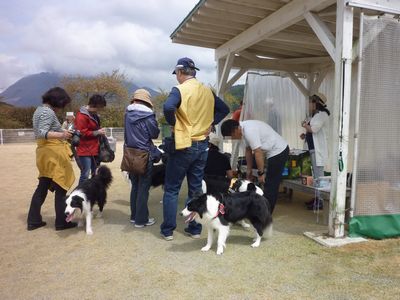 オフ会　どすこい九州場所～♪　追記あり_c0211540_171943.jpg