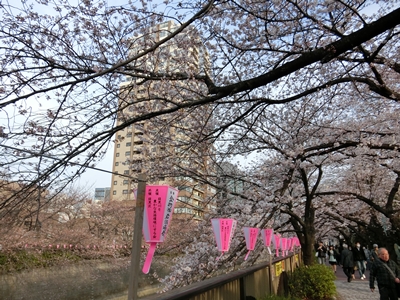b0120541_11031.jpg