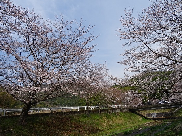 b0299042_15281696.jpg