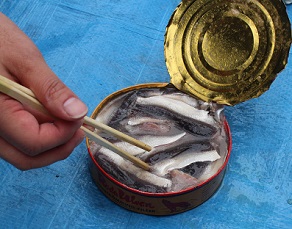 世界の伝統料理と特殊食材を食べる会の花見でシュールストレミング、エゾ鹿、蜂の子、狗肉などなど_c0030645_1853419.jpg