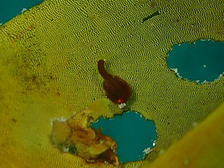 d0168345_2030747.jpg