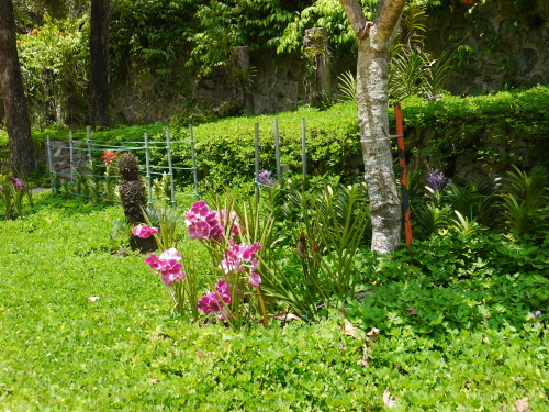 a0357546_16362512.jpg