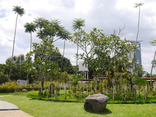 a0357546_16370902.jpg