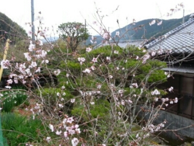 c0330749_07254181.jpg