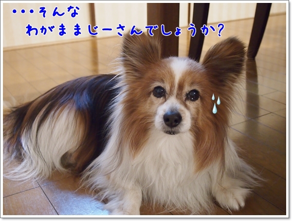 d0013149_00564405.jpg