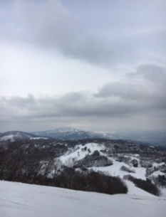 f0160353_1385726.png