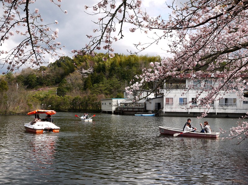 　　大池遊園_b0093754_21372297.jpg
