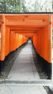 f0030155_6571248.jpg