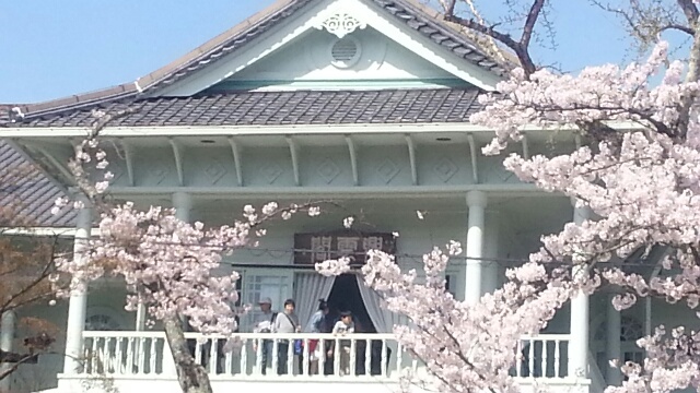 爛漫な桜 最高な眺め_f0182155_2216995.jpg