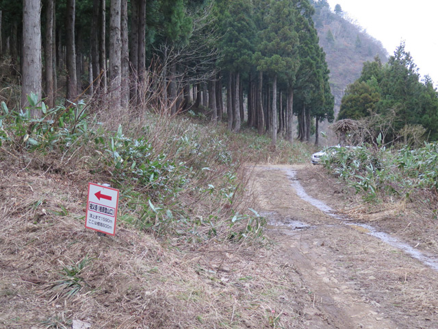 c0116856_1615167.jpg