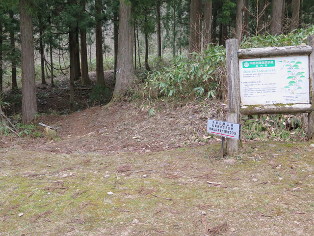 c0116856_16201319.jpg