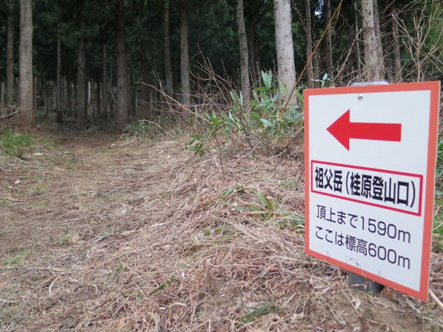 c0116856_167586.jpg