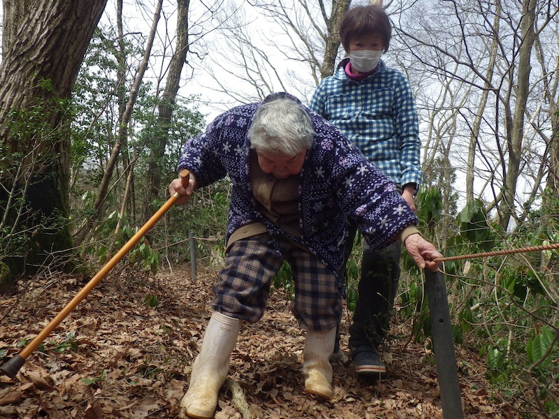 ばあさん山を登る_d0245258_7471583.jpg