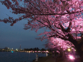 e0170558_21591692.gif