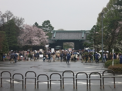 水戸桜、東京桜_e0170558_22354494.jpg