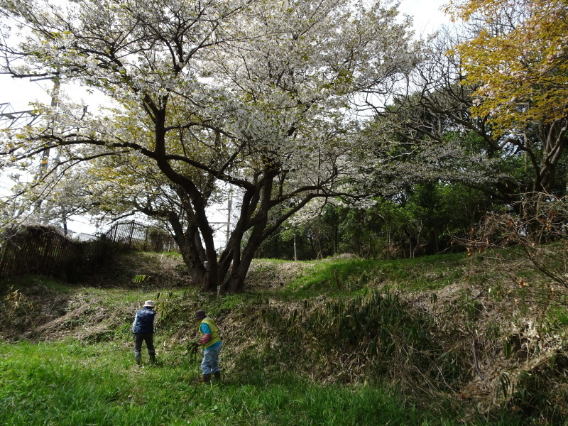 c0108460_22063937.jpg