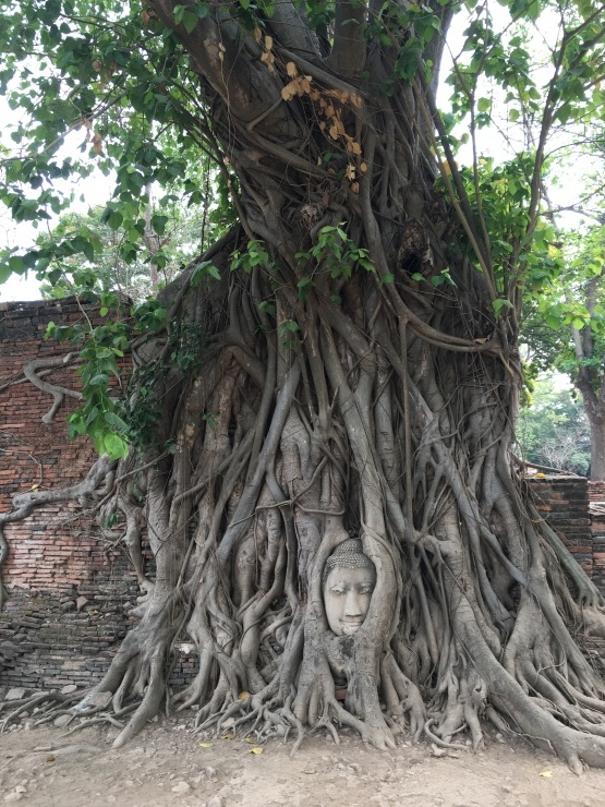 のあ679  天使の都（？）バンコク。_b0061261_22042687.jpeg