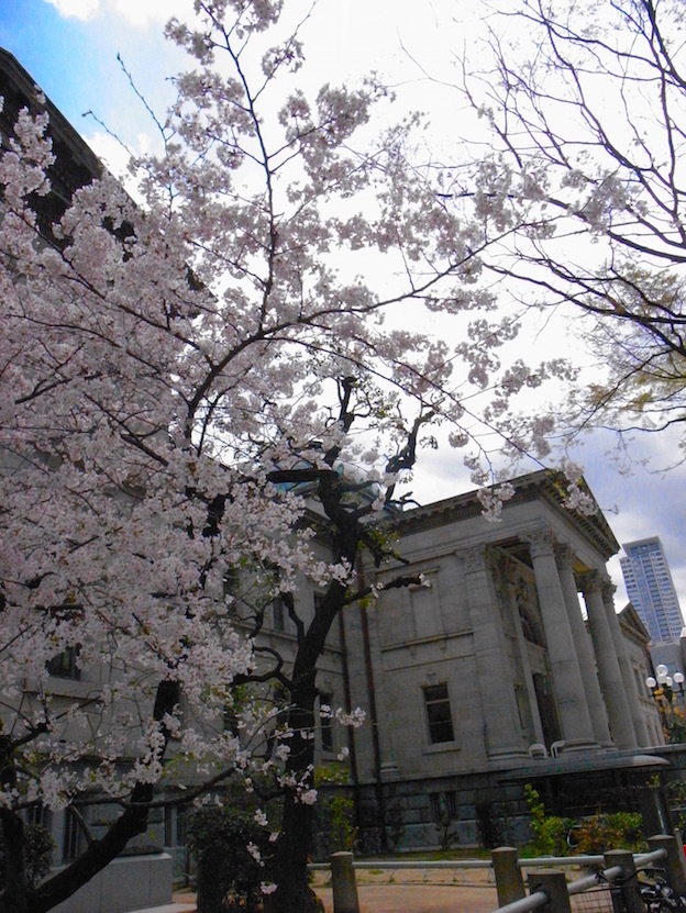 大阪、お花見散歩_f0134963_18274033.jpg