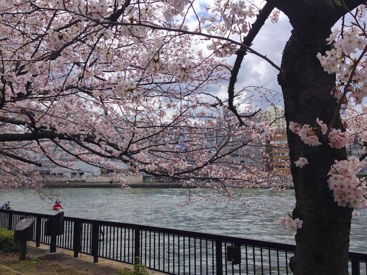 大阪、お花見散歩_f0134963_18322622.jpg