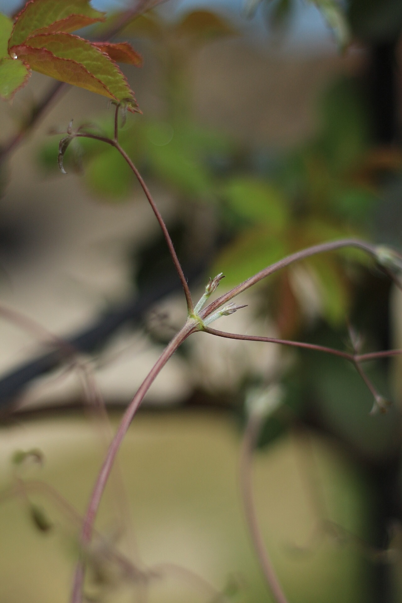 f0272164_20230168.jpeg