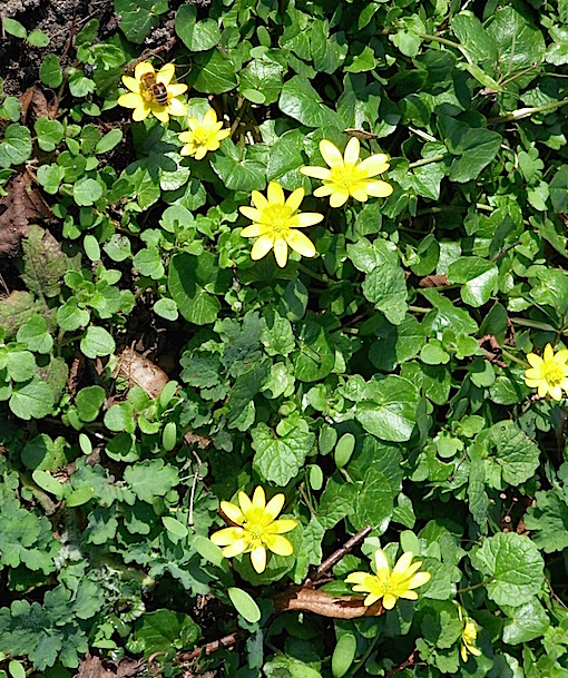 e0357367_15462031.jpg
