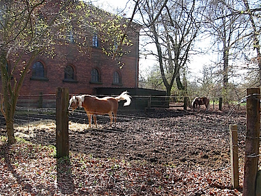 e0357367_2545010.jpg