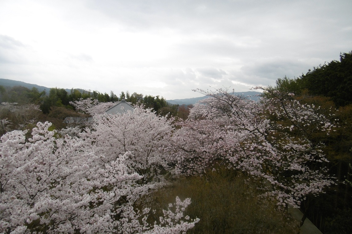 f0205367_23552684.jpg