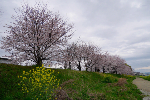 花曇り…。_b0272368_22293390.jpg