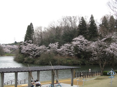 b0149071_16402647.jpg