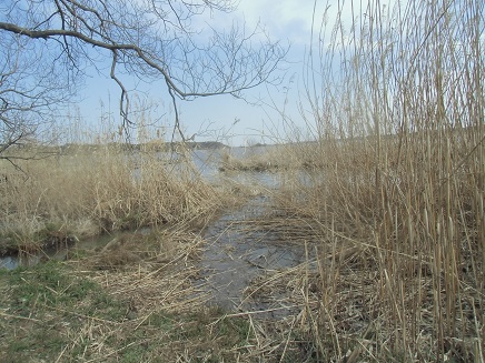c0273271_11047.jpg