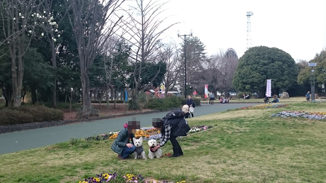 b0242873_22094050.png