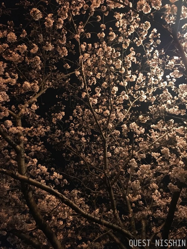 2016.04.02「ありゃらら!」_c0197974_2213511.jpg