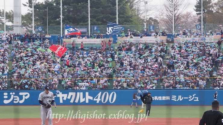 4/3神宮観戦フォト、原樹理、伏兵に2ラン被弾★2－3 山田2点適時打もあと1本出ず_e0222575_20443016.jpg