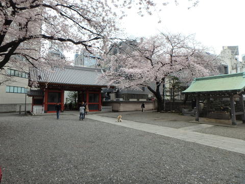 f0052277_148190.jpg