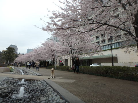 f0052277_1545570.jpg