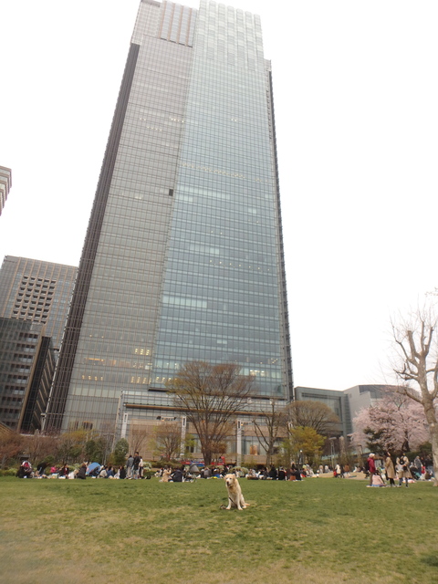 f0052277_158251.jpg