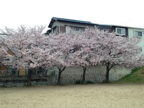 f0315081_17482322.jpeg