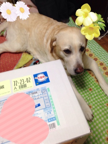 f0315081_17524477.jpeg