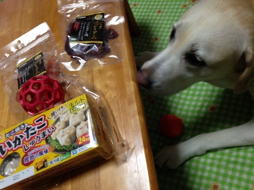 f0315081_17532671.jpeg