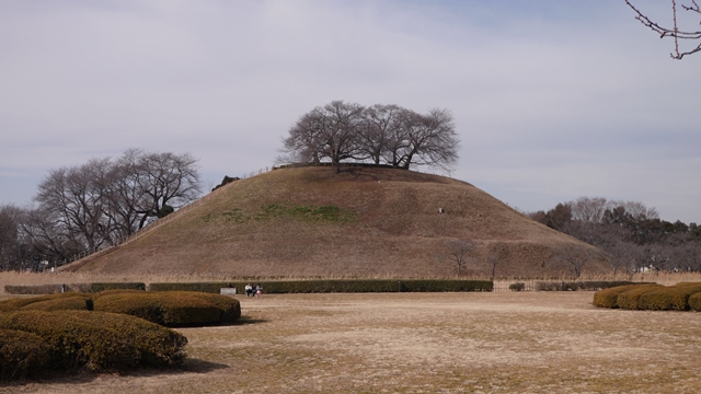 b0018682_2355529.jpg