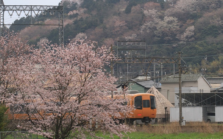 c0177785_6173843.jpg