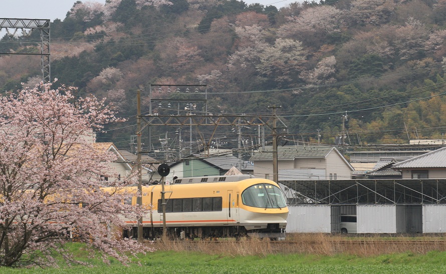 c0177785_6175710.jpg