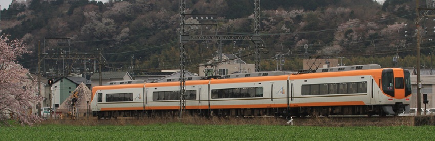 c0177785_619726.jpg