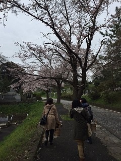 桜咲くなか_a0113886_1804531.jpg