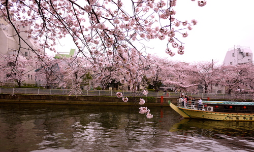 b0236186_2030532.jpg