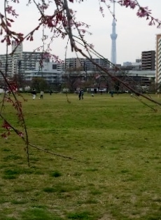 d0318191_14410821.jpg