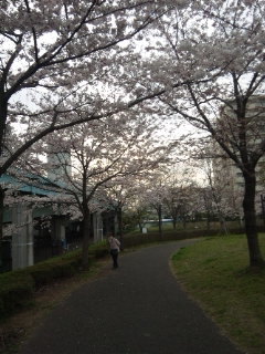 d0318191_14411525.jpg