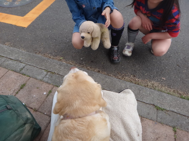 イベント多めの今日この頃_e0151091_19103148.jpg